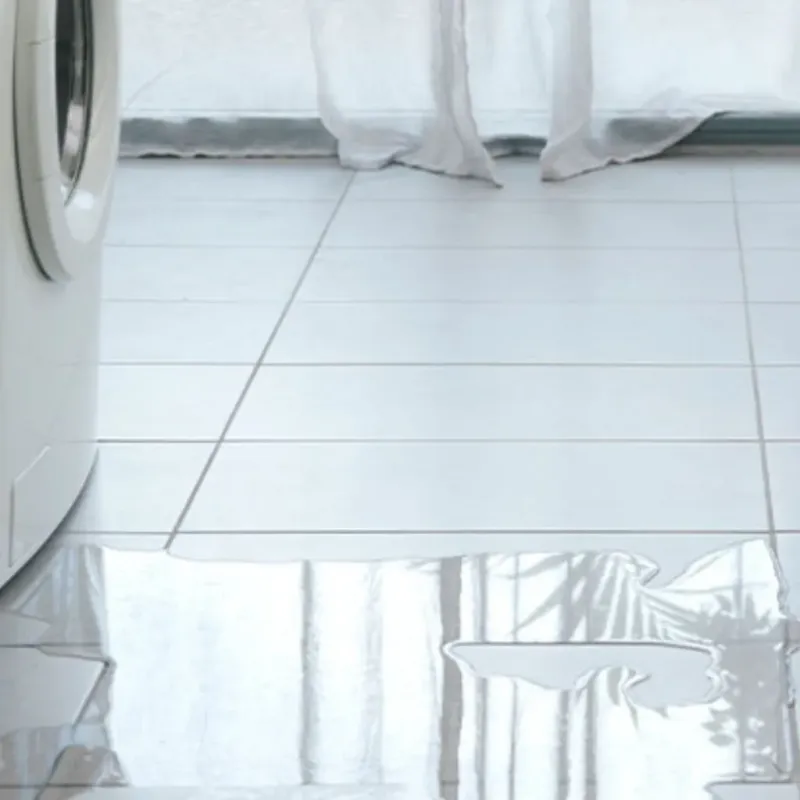 Appliance Leak Cleanup in Andrews AFB, MD