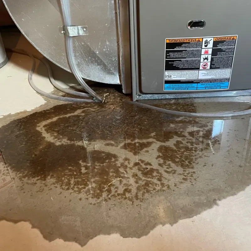 Pipe Burst and Leak Restoration in Andrews AFB, MD